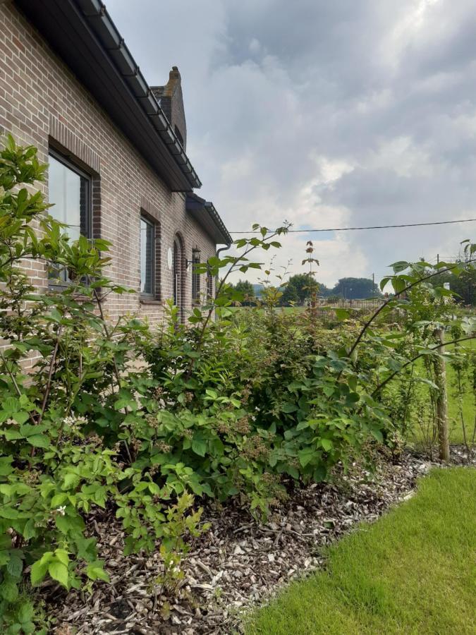 vakantiehuis zoetendaal Reningelst Buitenkant foto